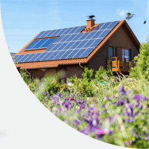 A modern house with solar panels, blue skies and beautiful purple flowers in the foreground