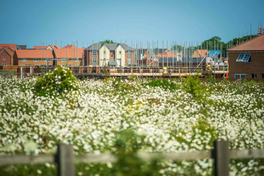 New housing build construction site in the distance with wild flowers in the foreground