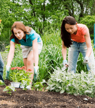 Community Groups and Charities Mortgages